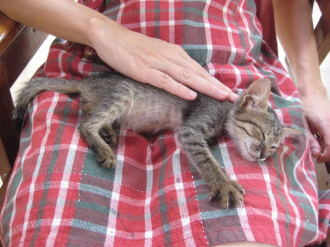 02 La Sieste Une Fois Apprivoise